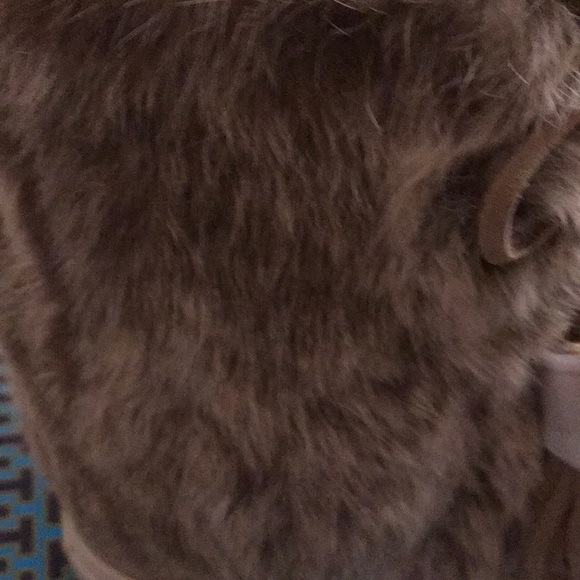 Tory Burch Booties - Picture 5 of 11